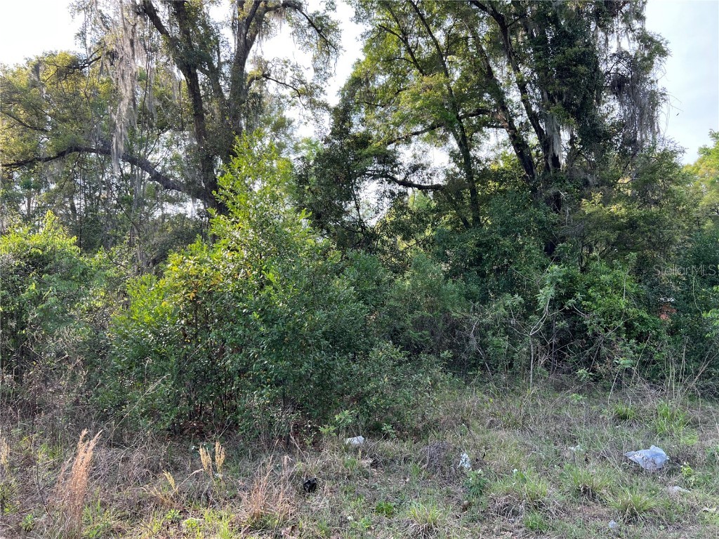 00 Se 47th Ave Summerfield FL 34491 G5066200 image1