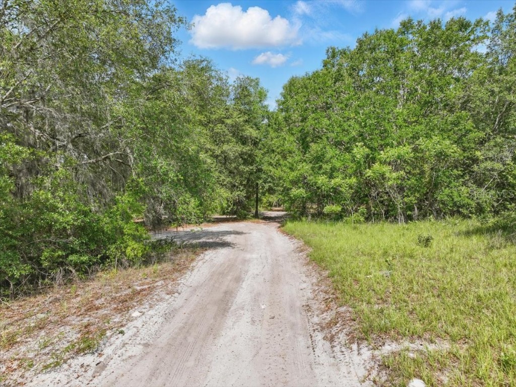 00 SE 53rd Court Trenton FL 32693 GC533146 image3