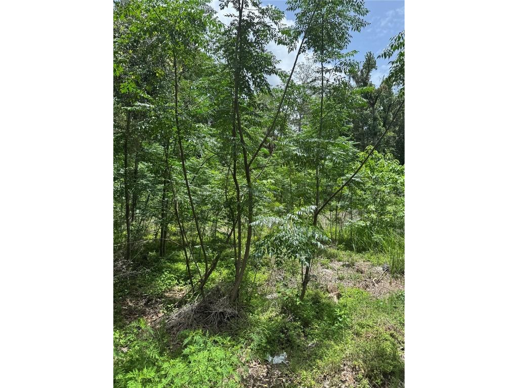 00 SE 61st Court Summerfield FL 34491 OM703196 image1