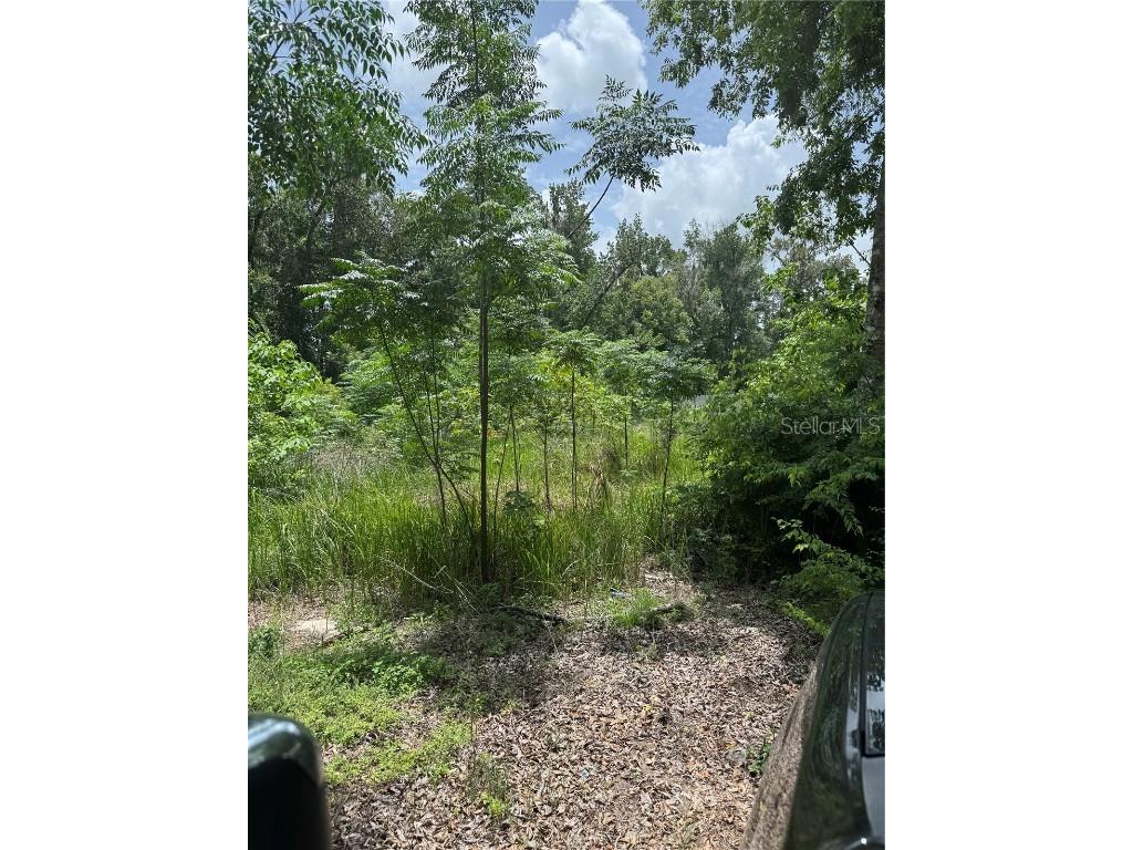 00 SE 61st Court Summerfield FL 34491 OM703197 image1