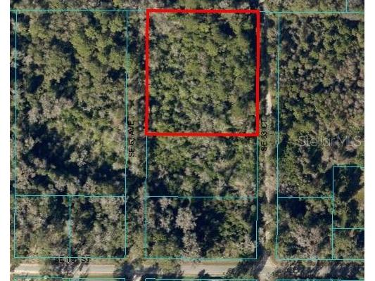 00 SE 63rd Court Summerfield FL 34491 OM663598 image1