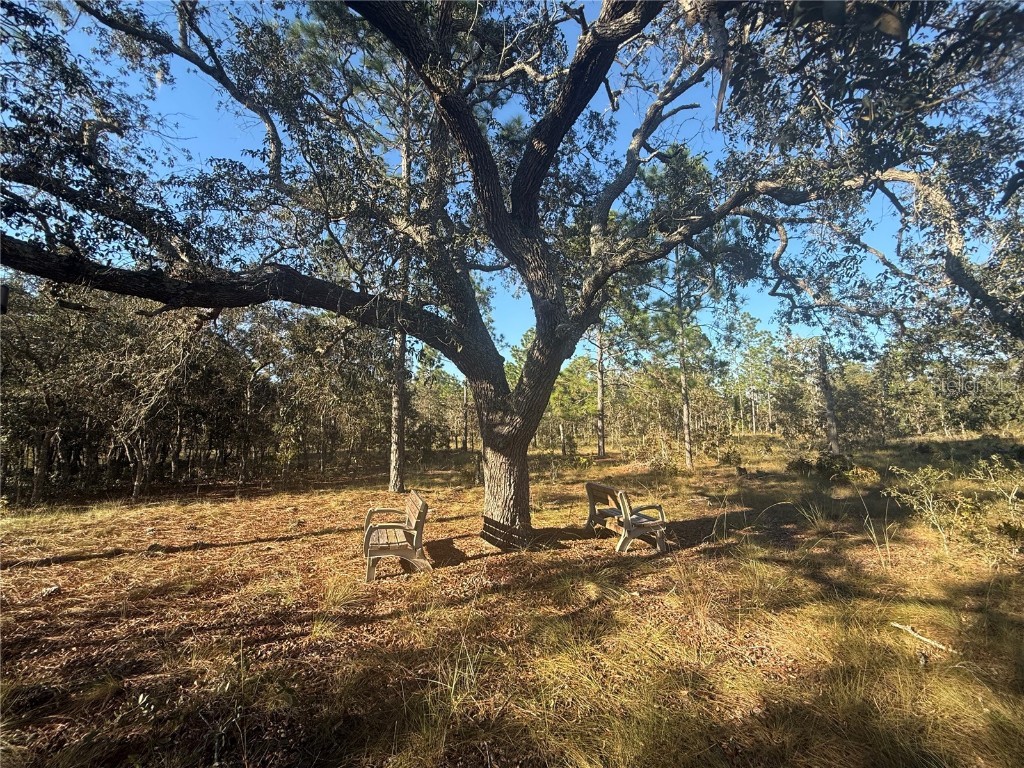 00 SE 73rd Lane Morriston FL 32668 OM711689 image1