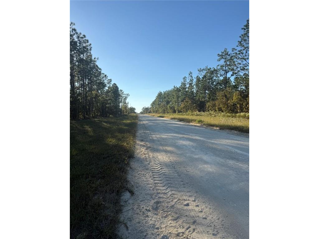 00 SE 73rd Lane Morriston FL 32668 OM711689 image10