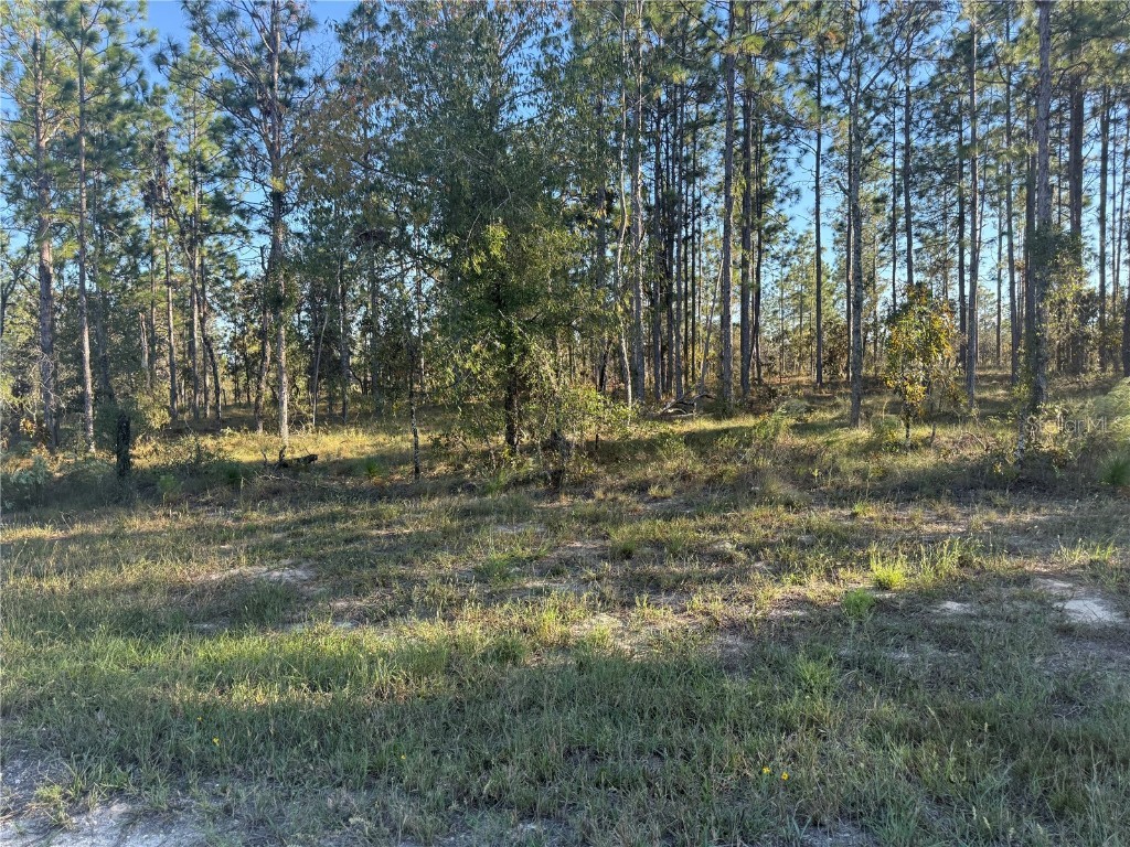 00 SE 73rd Lane Morriston FL 32668 OM711689 image11