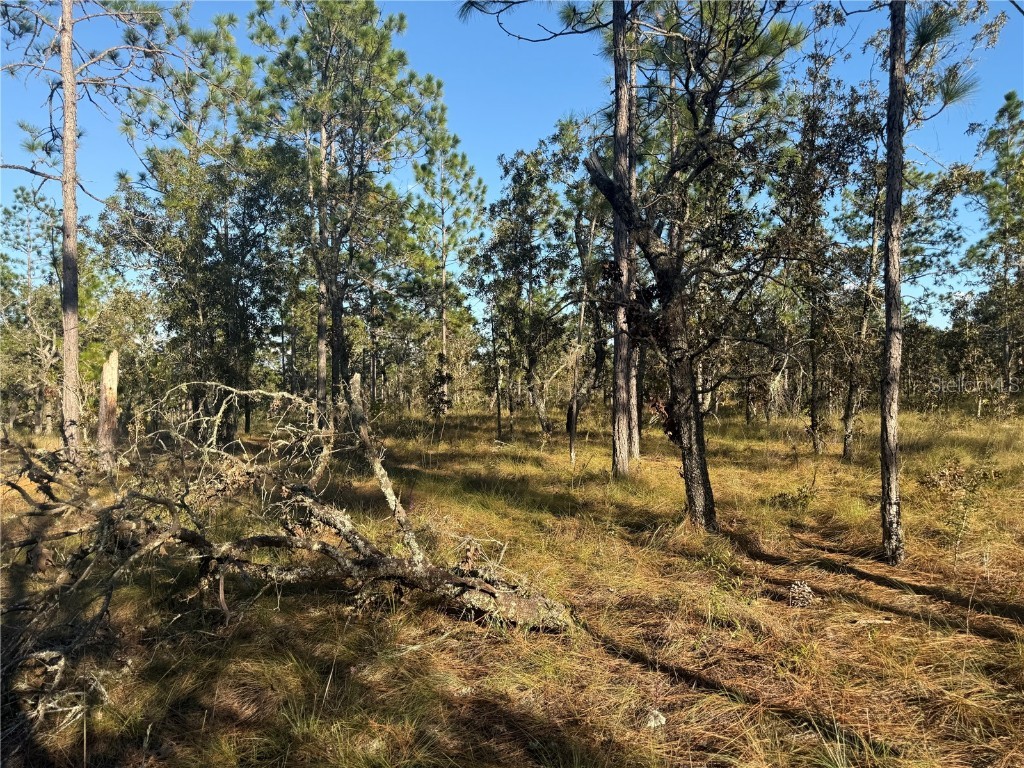 00 SE 73rd Lane Morriston FL 32668 OM711689 image13