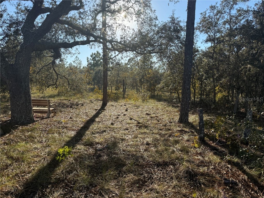 00 SE 73rd Lane Morriston FL 32668 OM711689 image14