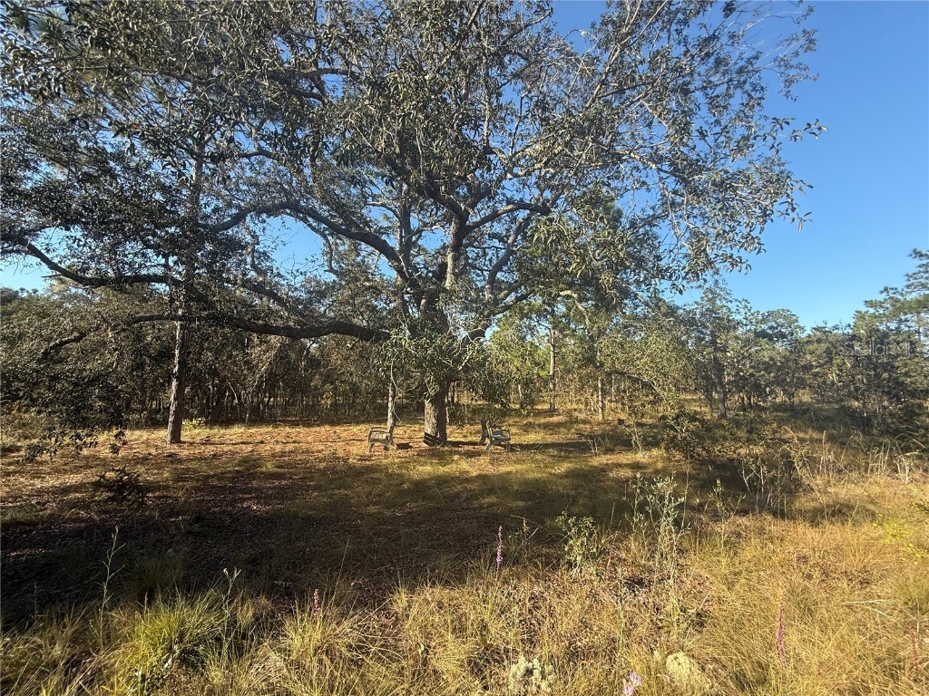 00 SE 73rd Lane Morriston FL 32668 OM711689 image16