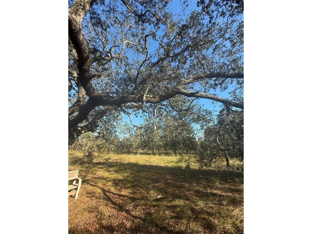 00 SE 73rd Lane Morriston FL 32668 OM711689 image17