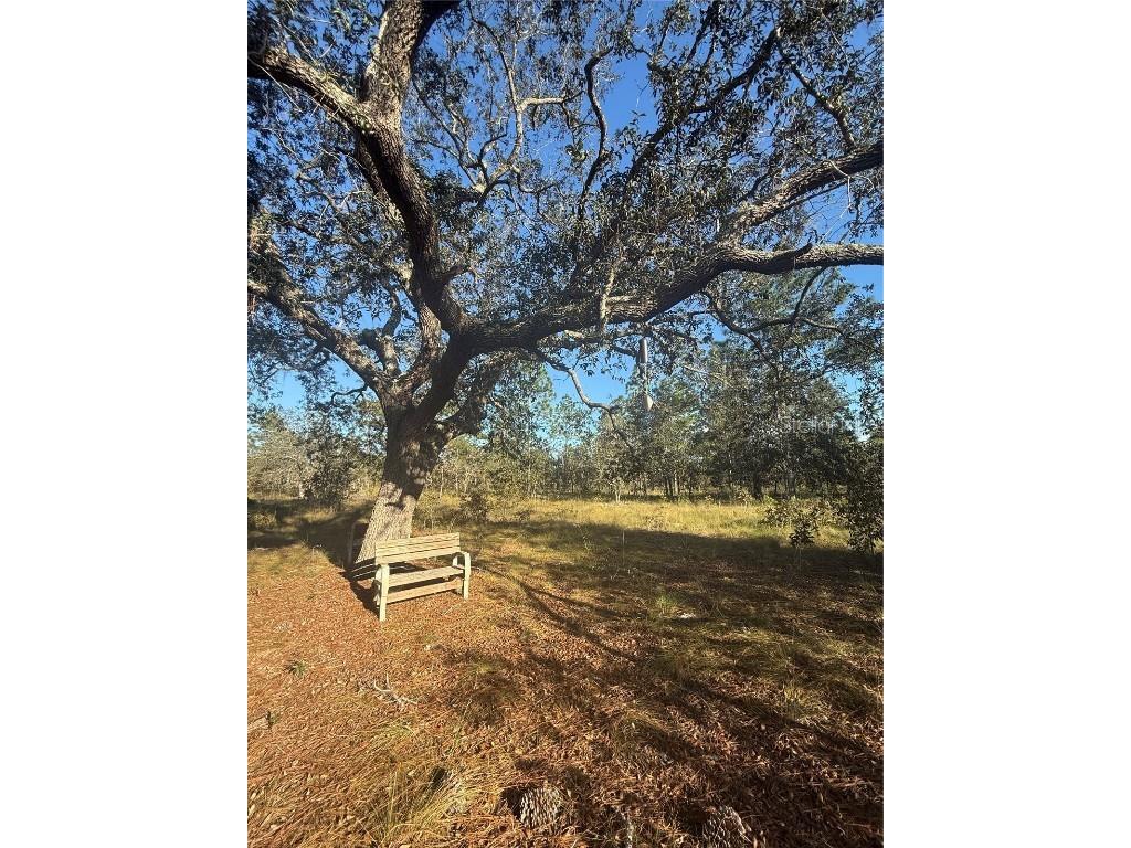 00 SE 73rd Lane Morriston FL 32668 OM711689 image18