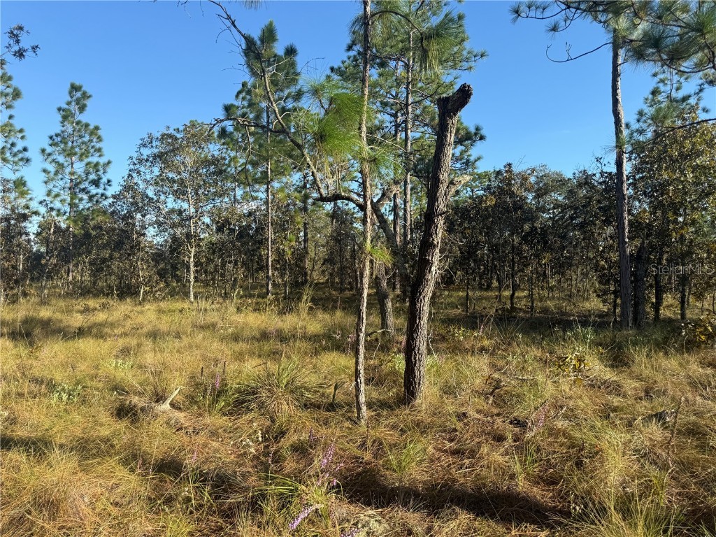 00 SE 73rd Lane Morriston FL 32668 OM711689 image19