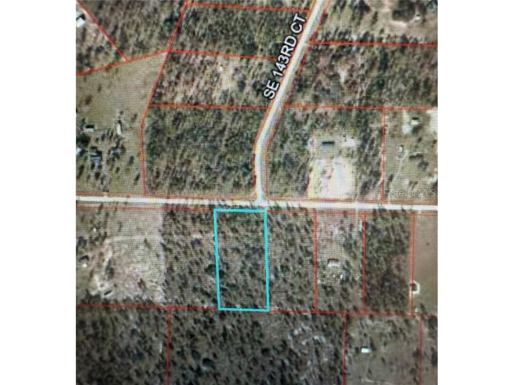 00 SE 73rd Lane Morriston FL 32668 OM711689 image2