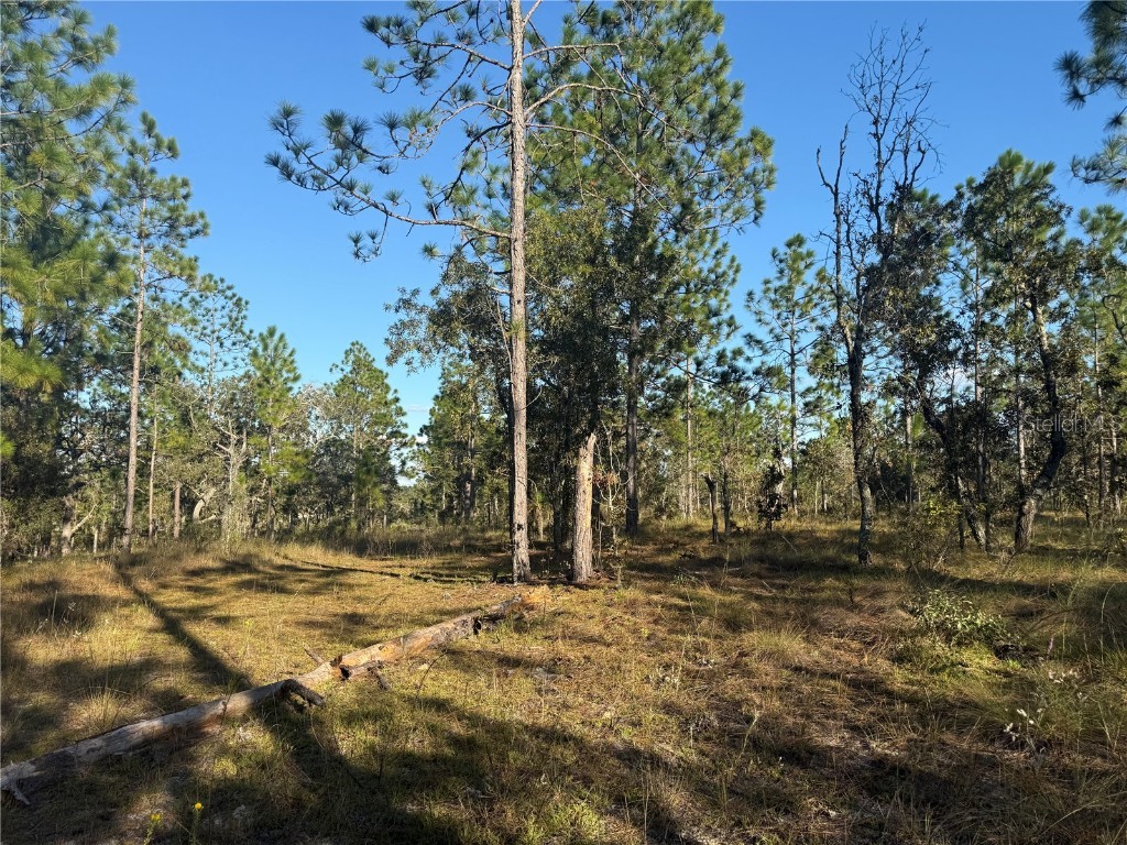 00 SE 73rd Lane Morriston FL 32668 OM711689 image20