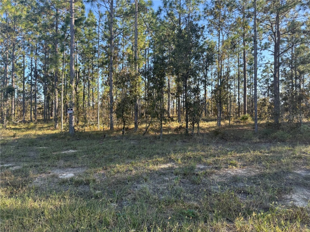 00 SE 73rd Lane Morriston FL 32668 OM711689 image21