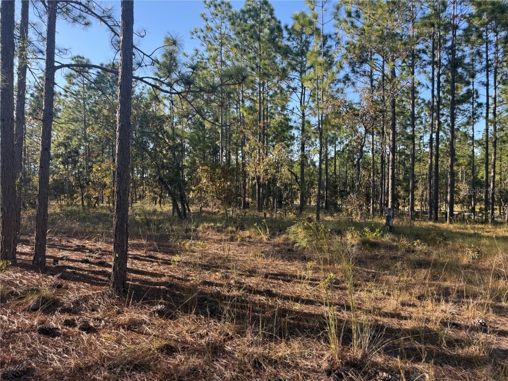 00 SE 73rd Lane Morriston FL 32668 OM711689 image23