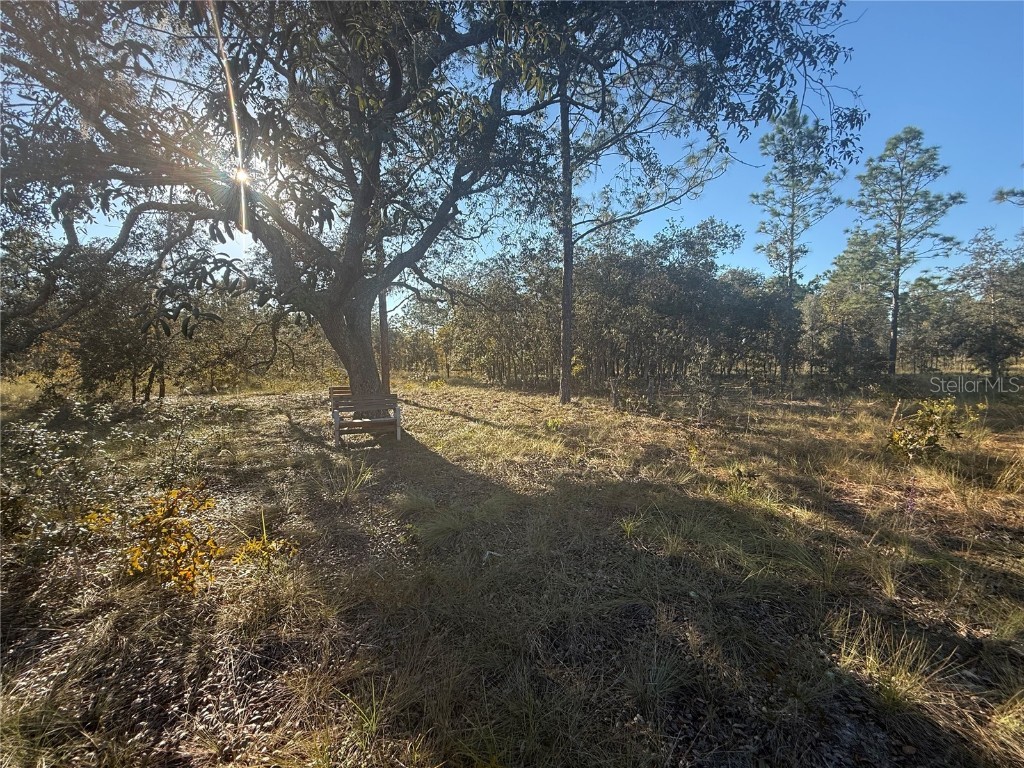 00 SE 73rd Lane Morriston FL 32668 OM711689 image24