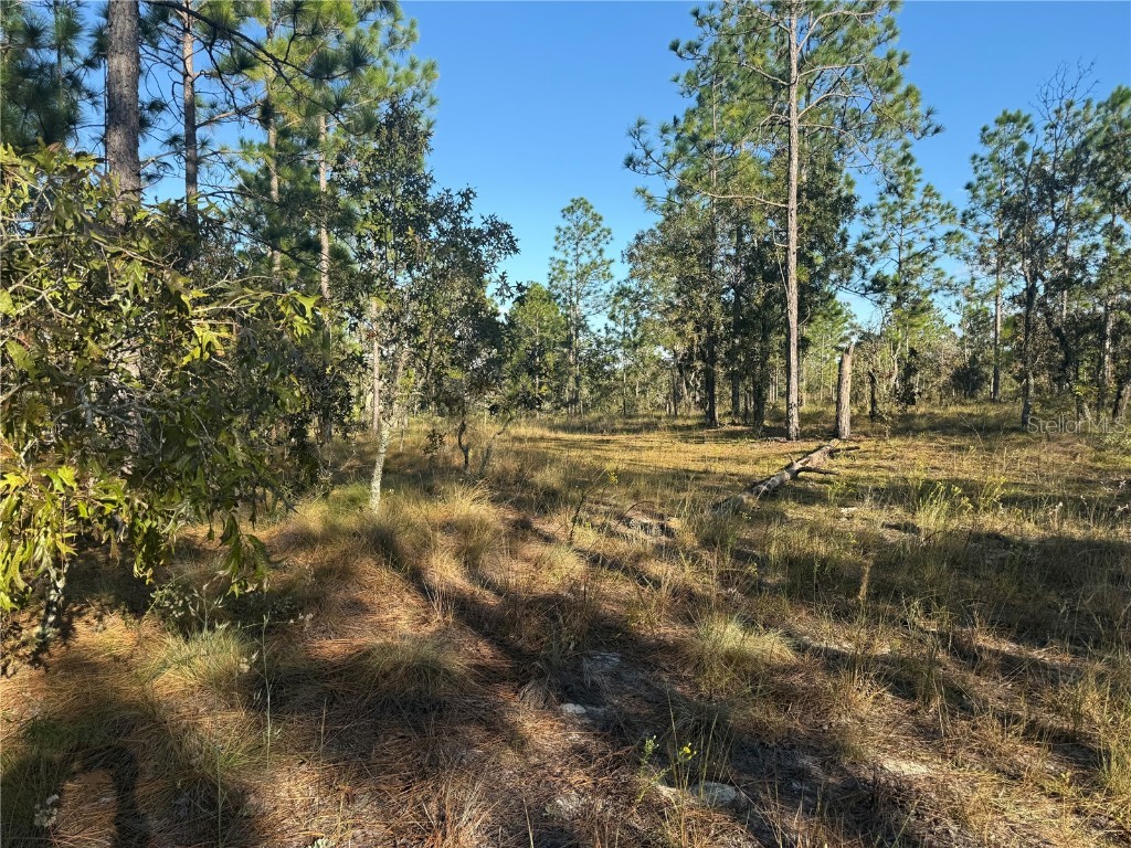 00 SE 73rd Lane Morriston FL 32668 OM711689 image25