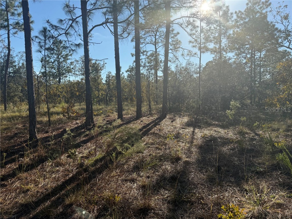 00 SE 73rd Lane Morriston FL 32668 OM711689 image26