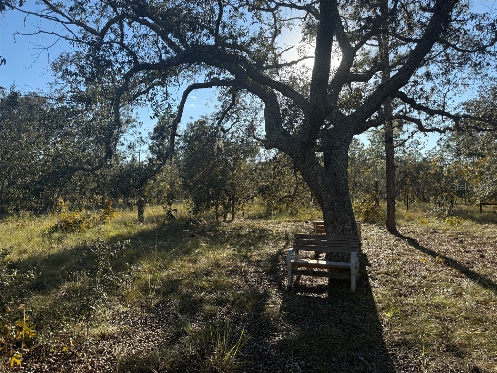 00 SE 73rd Lane Morriston FL 32668 OM711689 image3