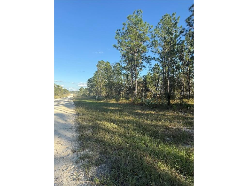 00 SE 73rd Lane Morriston FL 32668 OM711689 image8