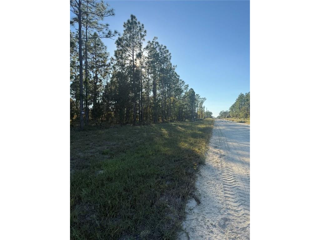 00 SE 73rd Lane Morriston FL 32668 OM711689 image9