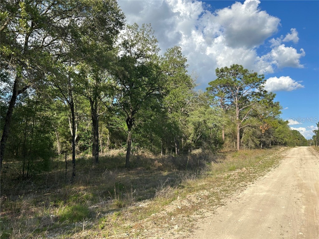 00 SE 73rd Place #67 Morriston FL 32668 G5067905 image1