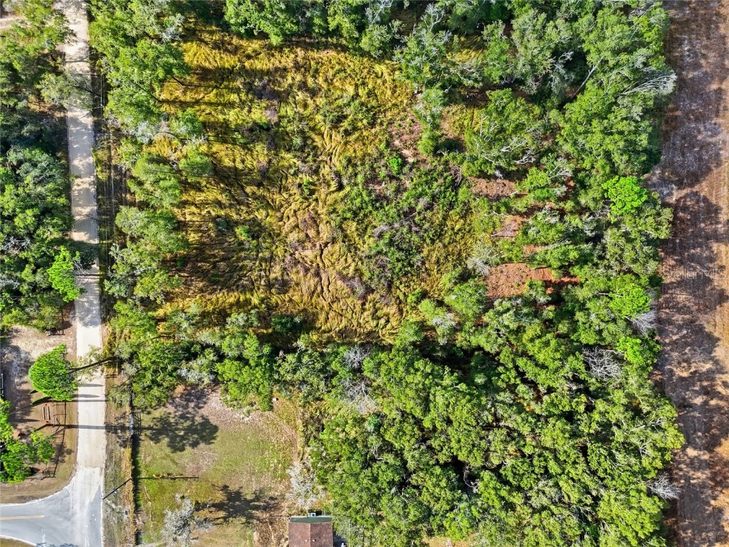 00 SE 80th Place Trenton FL 32693 GC536396 image5