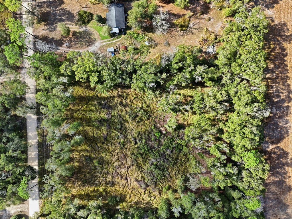 00 SE 80th Place Trenton FL 32693 GC536398 image4