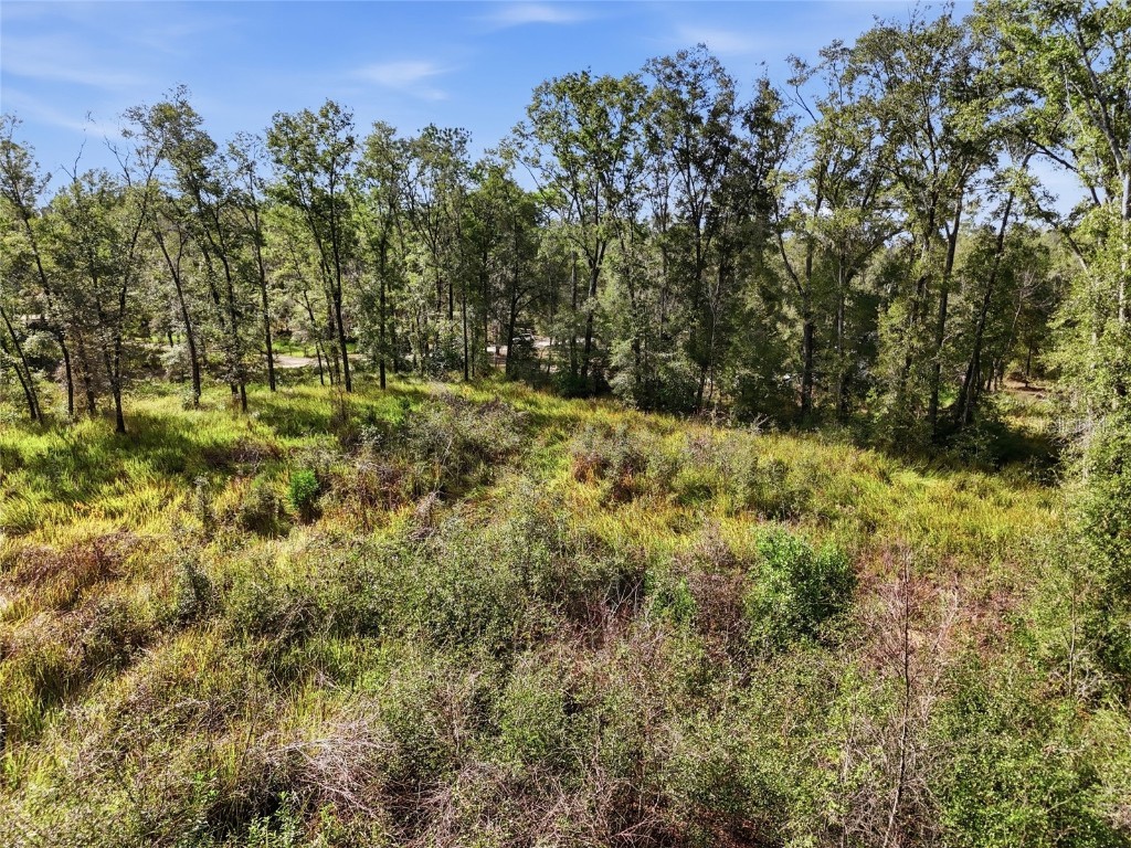 00 SE 80th Place Trenton FL 32693 GC536398 image6