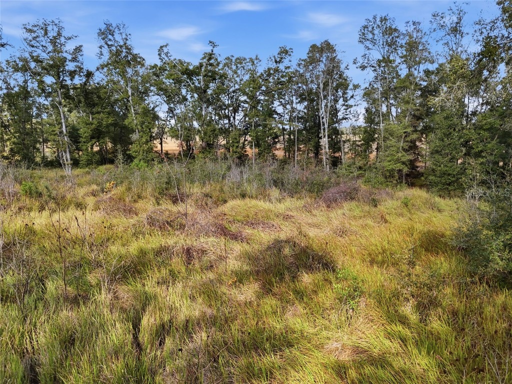 00 SE 80th Place Trenton FL 32693 GC536398 image7