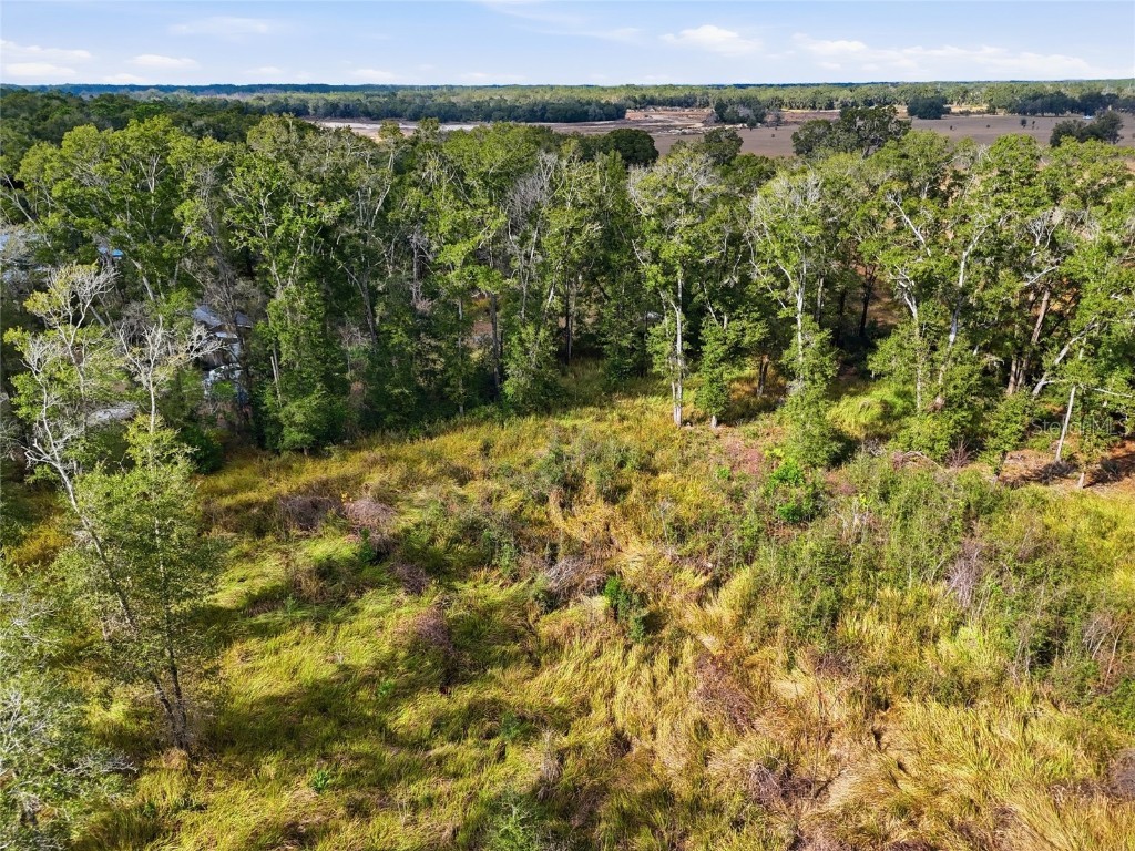 00 SE 80th Place Trenton FL 32693 GC536398 image8