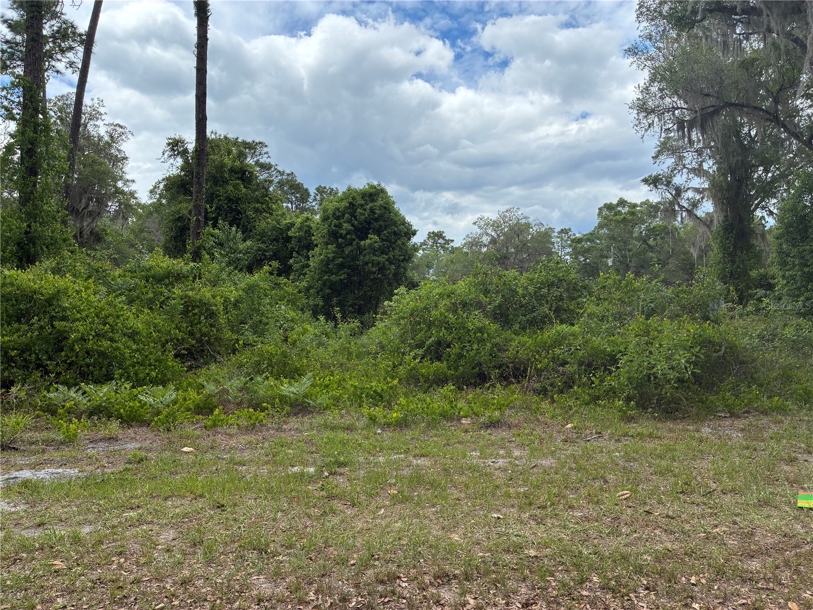 00 SE 87 Street Ocklawaha FL 32179 OM723536 image1