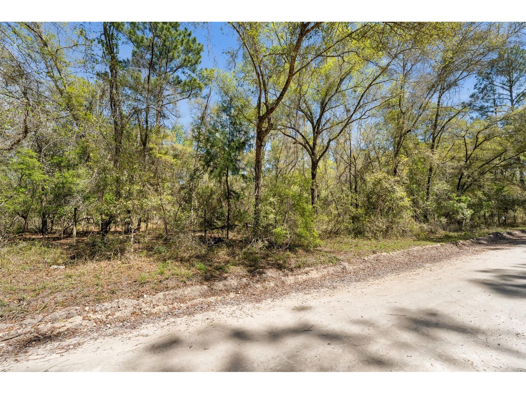 0 SE 91st Trail Trenton FL 32693 - WACCASASSA LAKE GC538634 image11