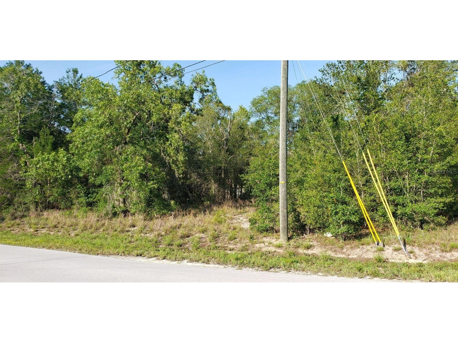 00 SE 92nd Court Summerfield FL 34491 OM659011 image1