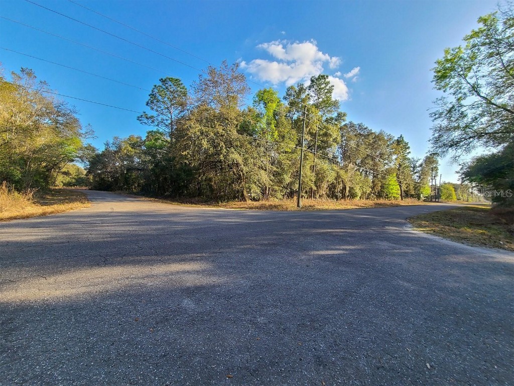 00 SE Guava Lane Track Ocklawaha FL 32179 OM674775 image1