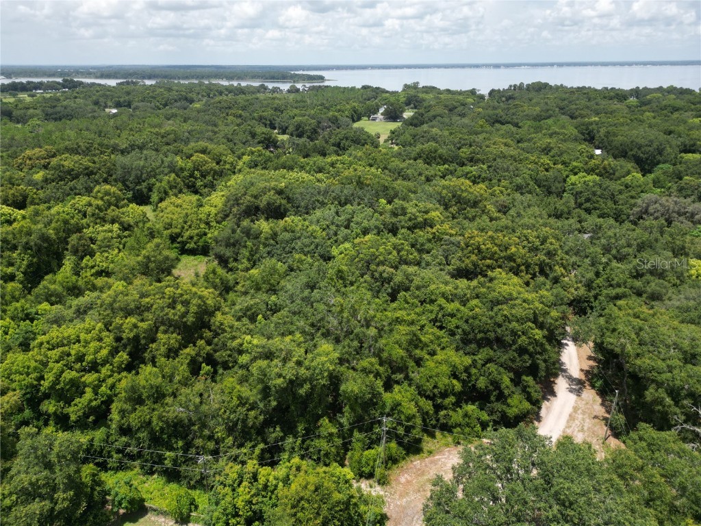 00 SE Hwy 42 Weirsdale FL 32195 T3544619 image1