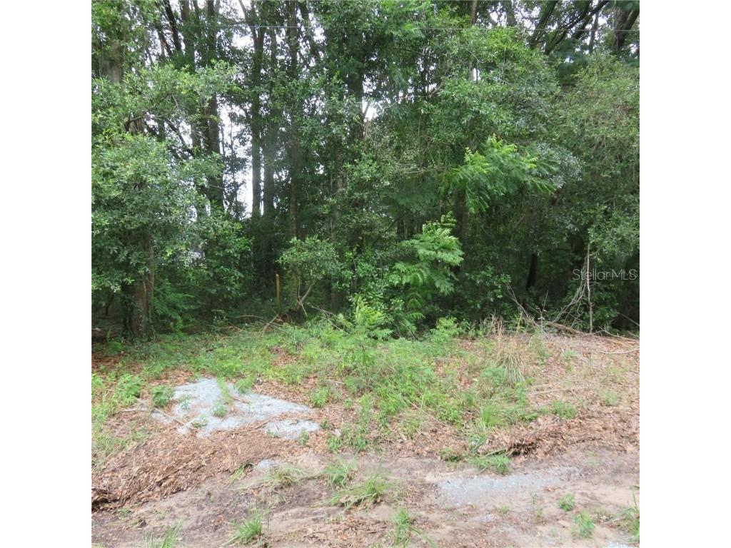 00 SE Juniper Trak Ocala FL 34480 OM653144 image1