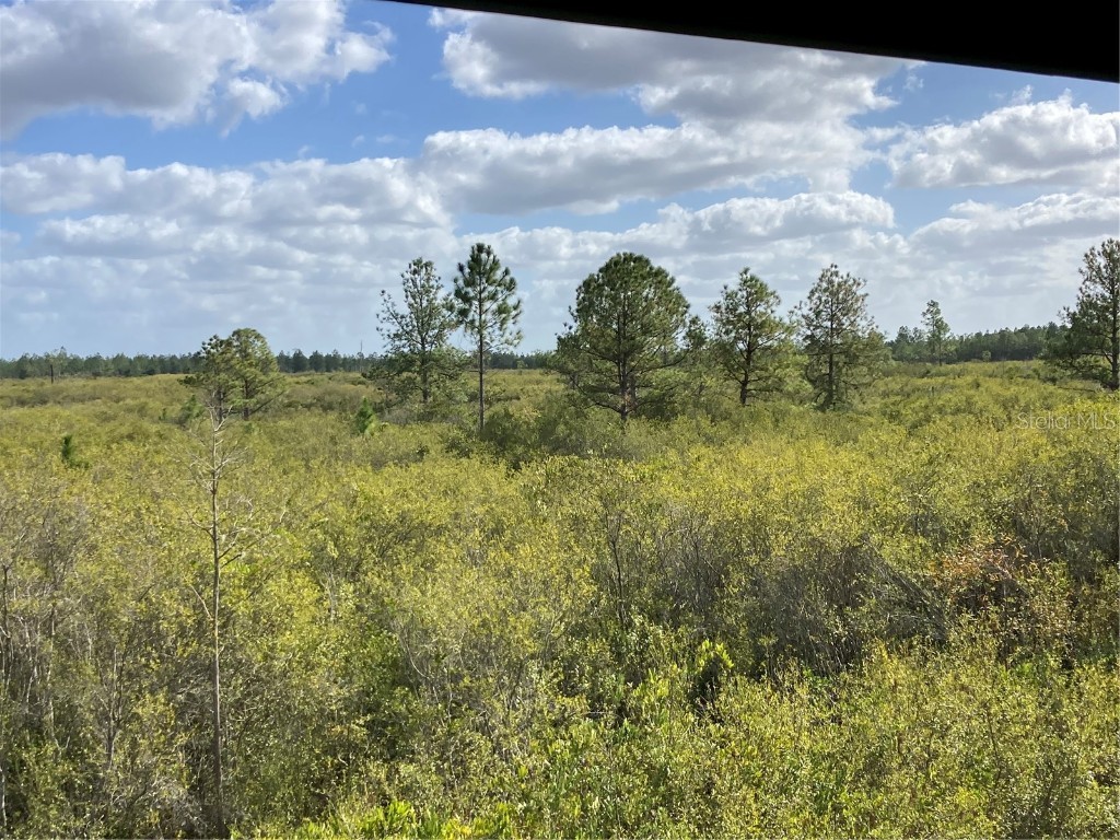 TBD SE Bennett Road Mayo FL 32066 GC509916 image1