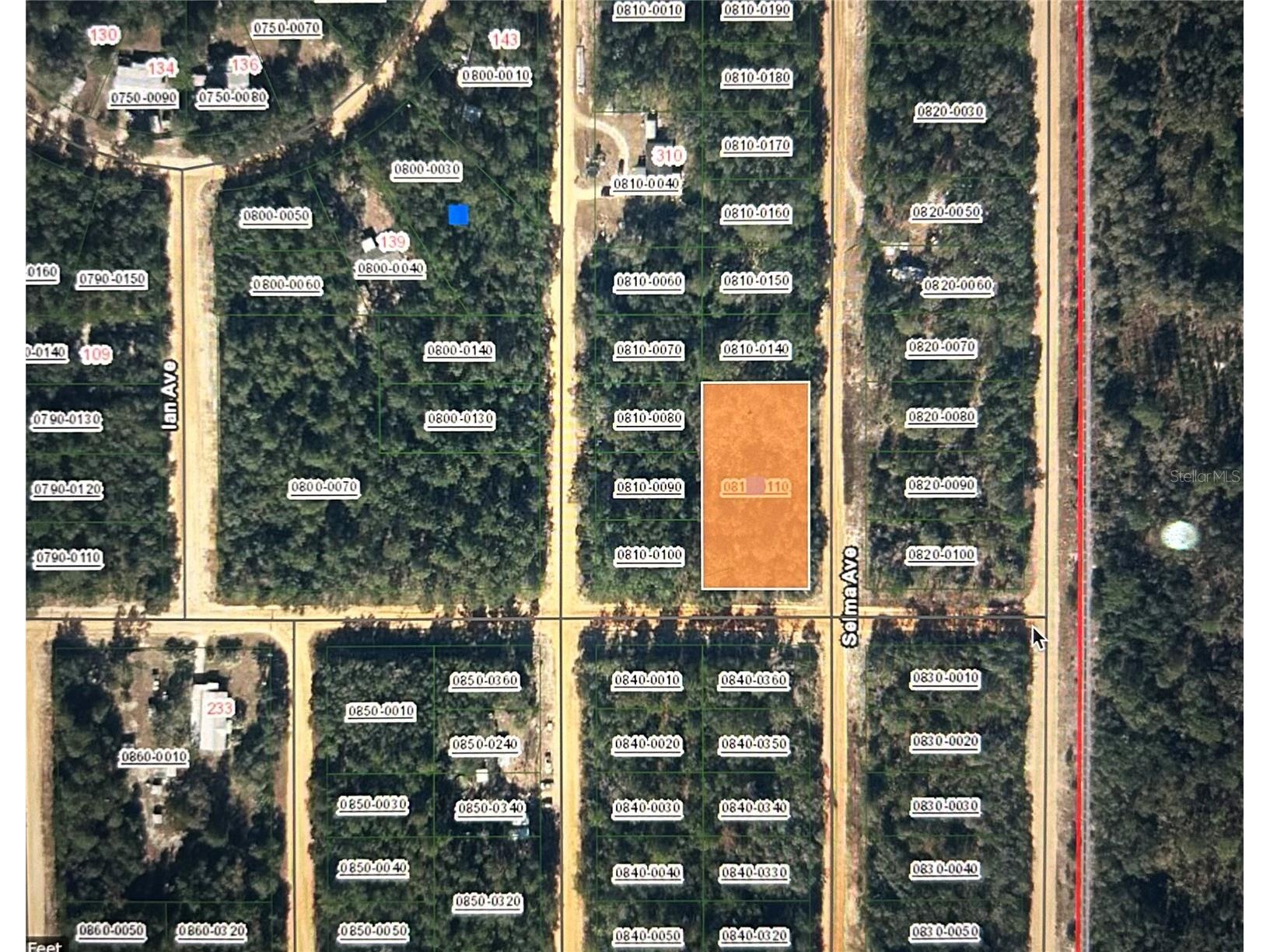 00 Selma Ave Interlachen FL 32148 O6389596 image2