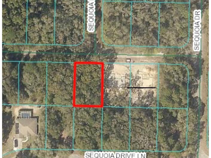 00 Sequoia Dr Crse Ocklawaha FL 32179 OM699378 image1
