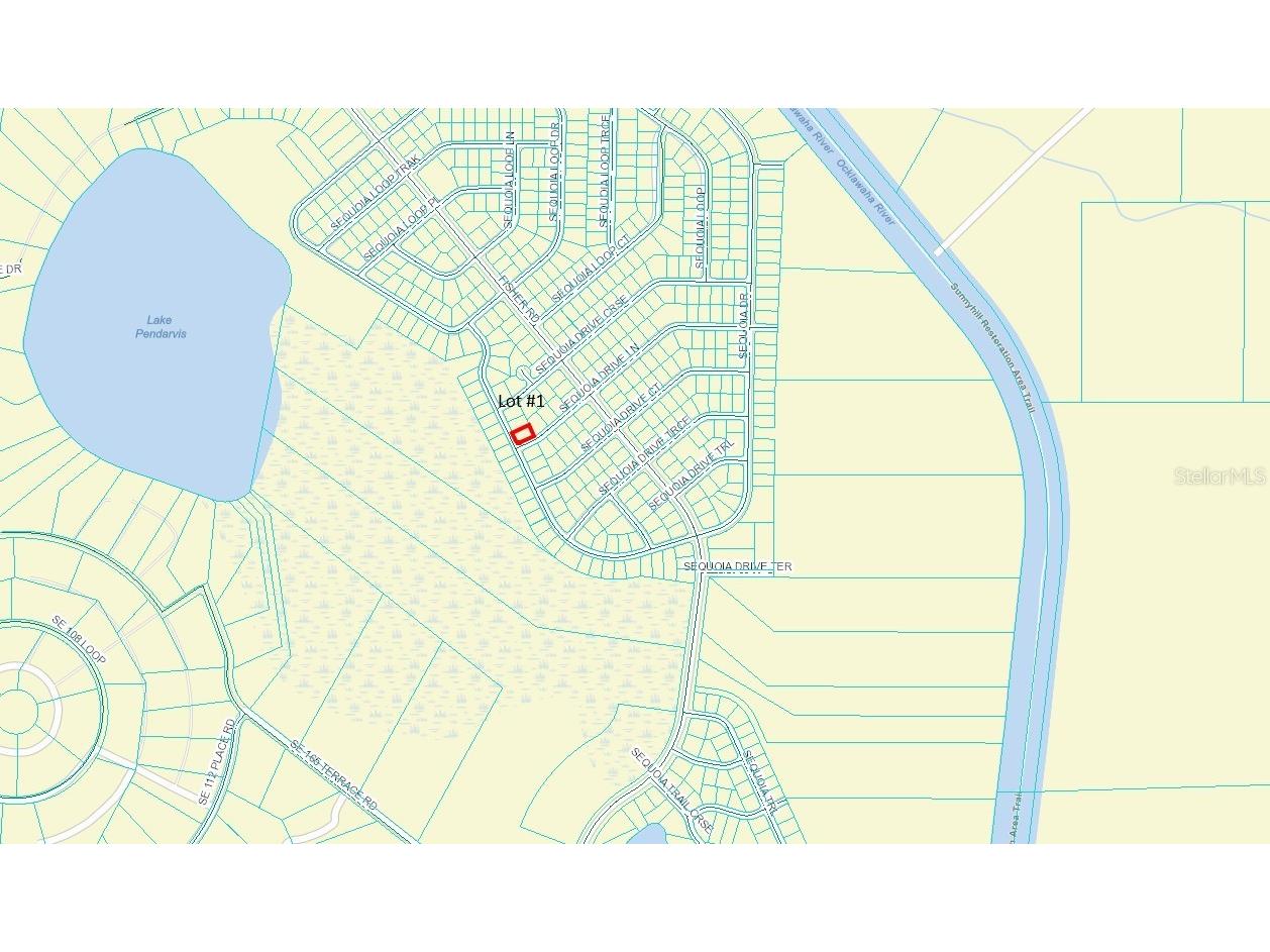 00 Sequoia Dr Ocklawaha FL 32179 OM703109 image1