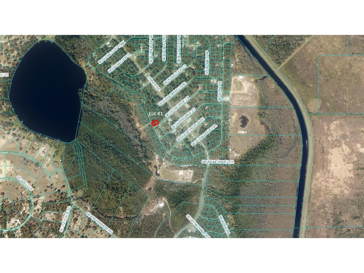 00 Sequoia Dr Ocklawaha FL 32179 OM703109 image2