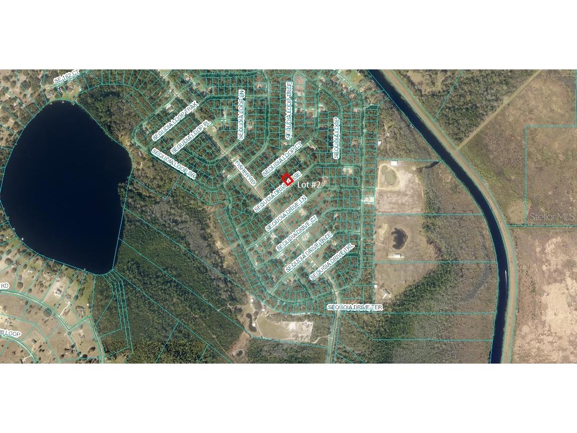 00 Sequoia Dr Ocklawaha FL 32179 OM703109 image4