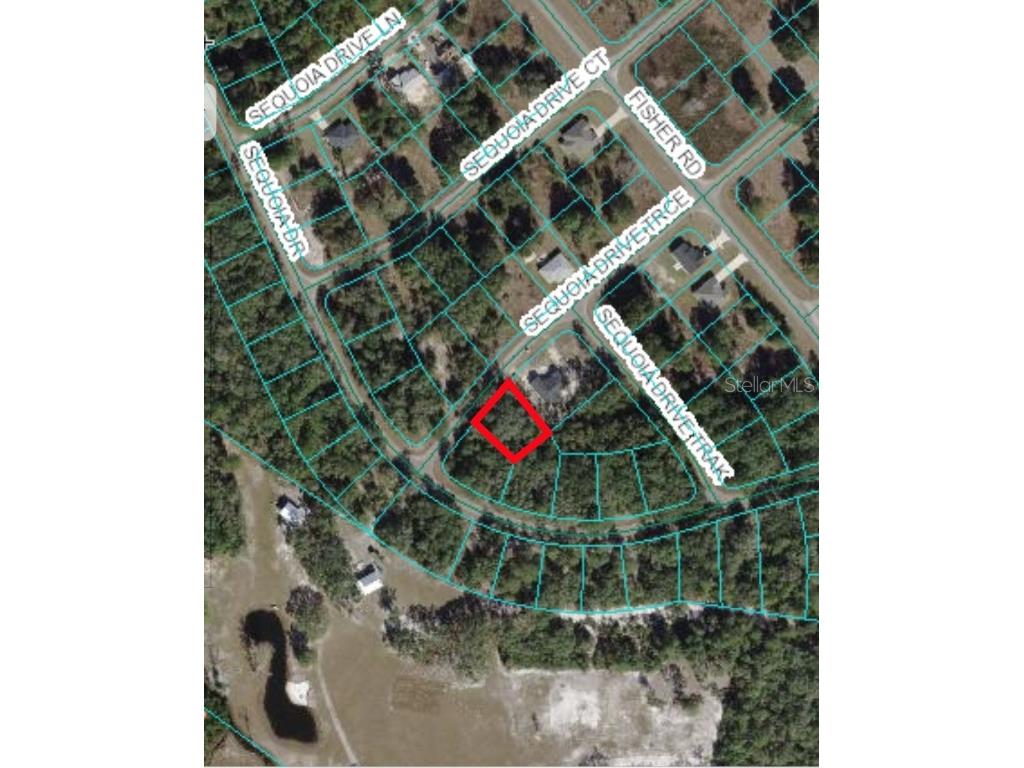 00 Sequoia Drive Trace Ocklawaha FL 32179 OM677127 image1