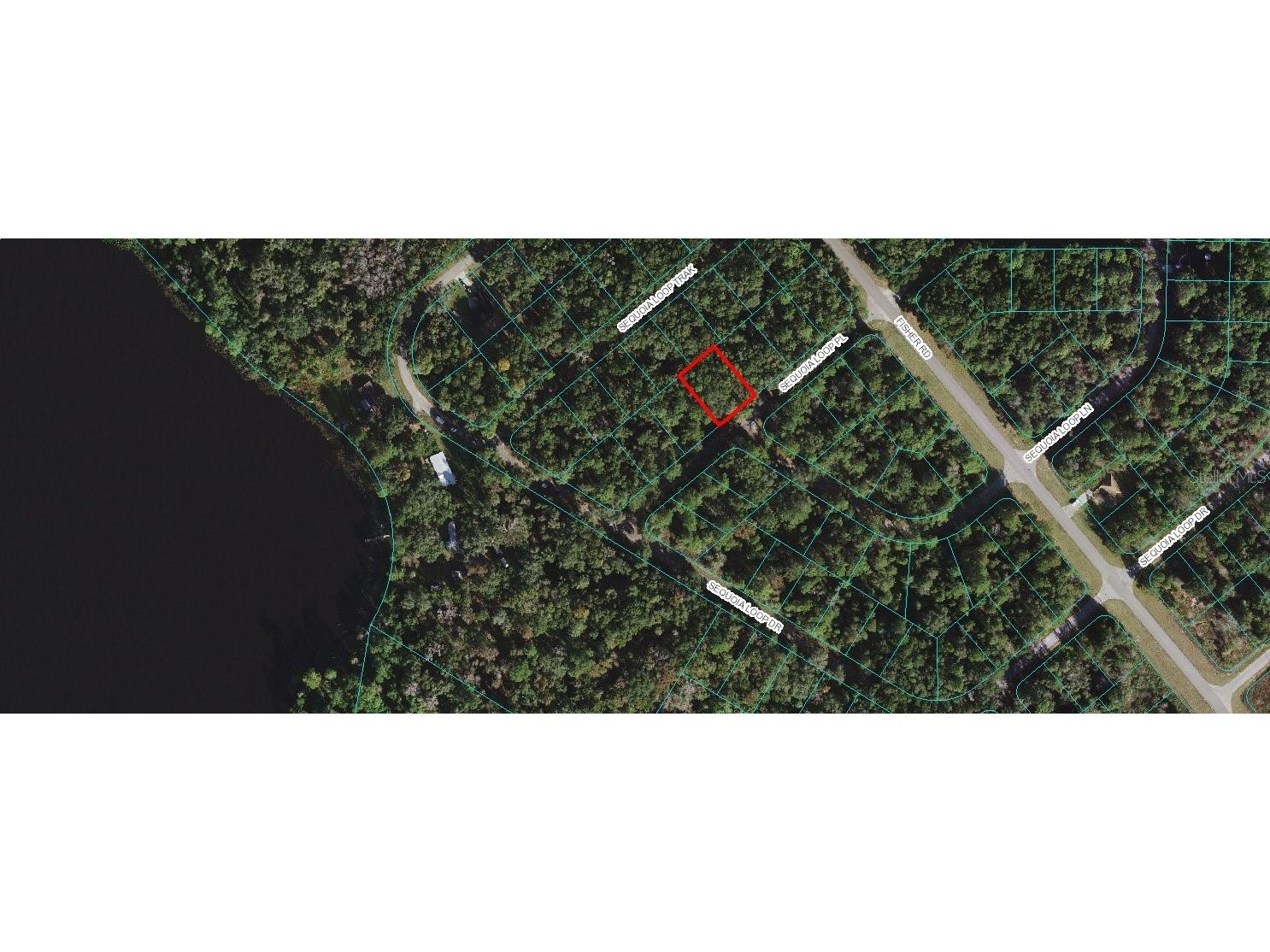 00 Sequoia Loop Place Ocklawaha FL 32179 OM627657 image1