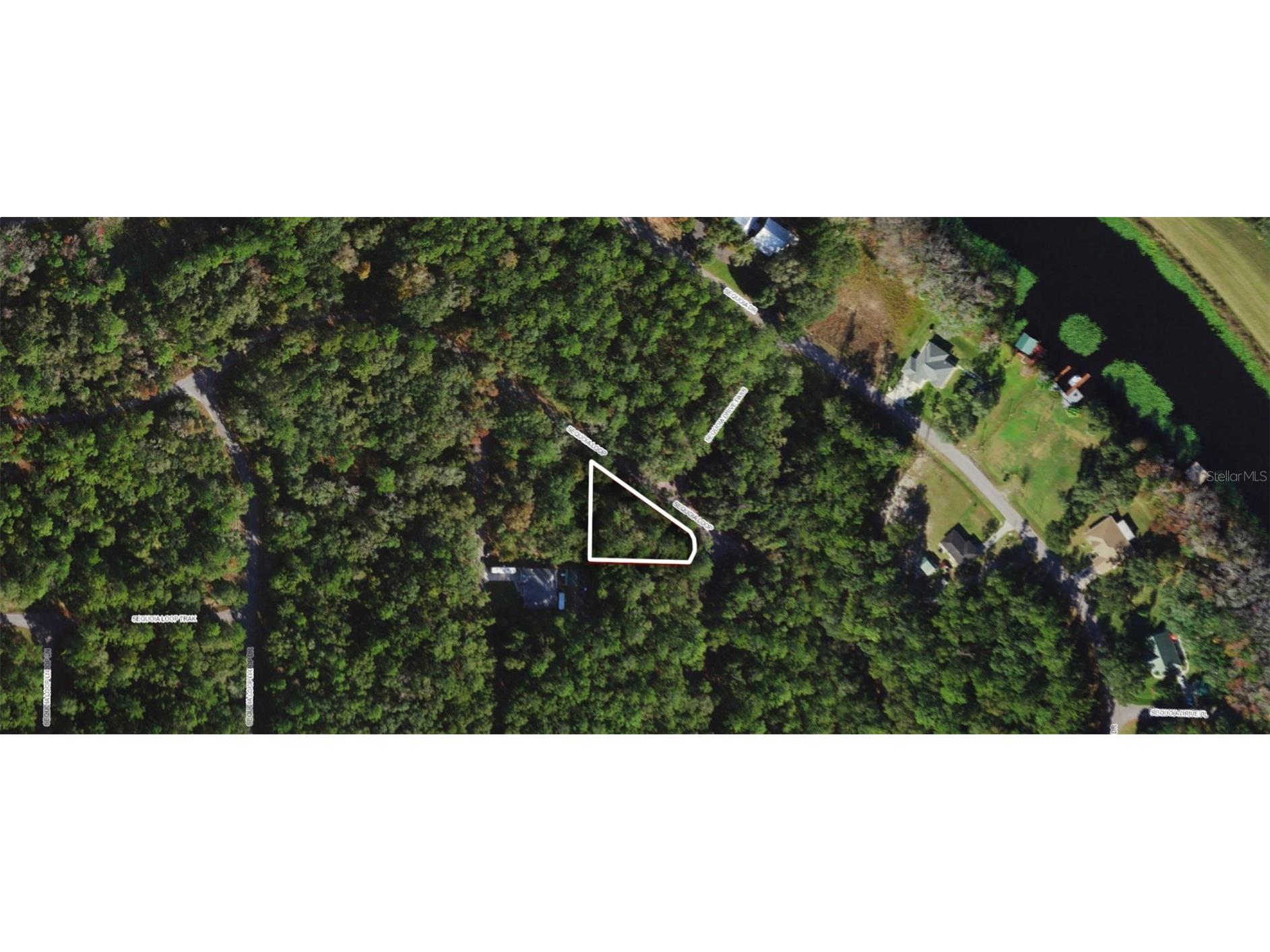 00 Sequoia Loop Trace Ocklawaha FL 32179 OM643323 image1