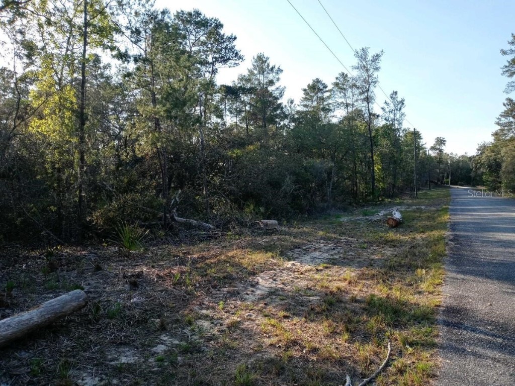 00 Sequoia Trail Terrace Ocklawaha FL 32179 OM655423 image1
