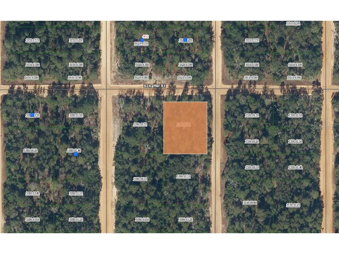 00 Shappell Avenue Interlachen FL 32148 OM698487 image1