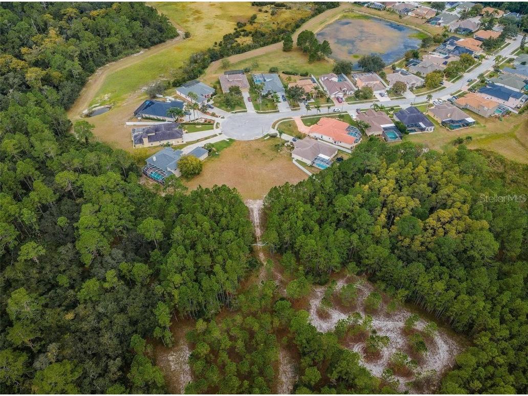 00 Shooting Star Court New Port Richey FL 34655 W7872163 image11