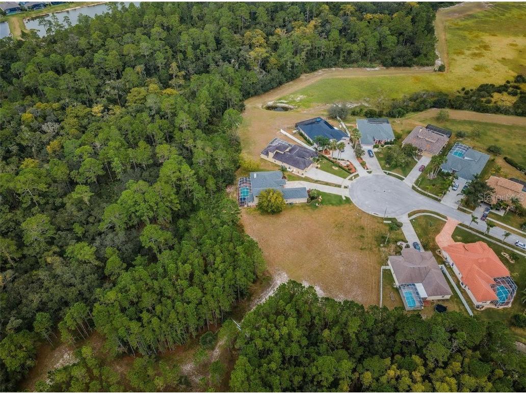 00 Shooting Star Court New Port Richey FL 34655 W7872163 image12