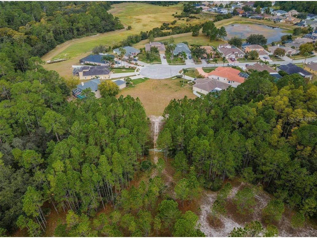 00 Shooting Star Court New Port Richey FL 34655 W7872163 image15